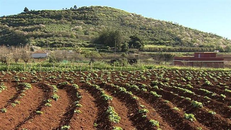 Telecanarias - 27/01/2016