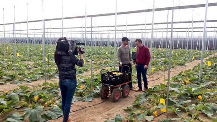 España Directo - El Ejido, un mar de plástico