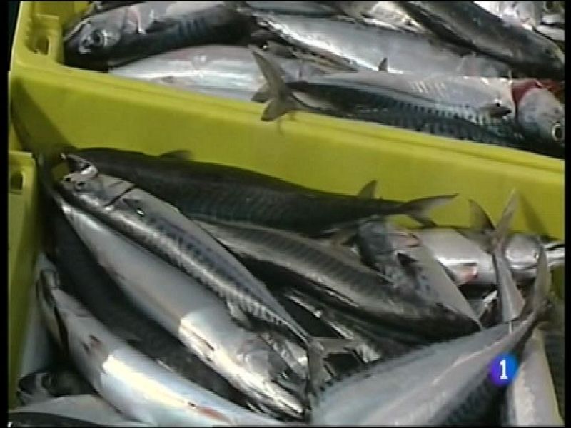 Panorama Regional - 27/01/16 | Ver