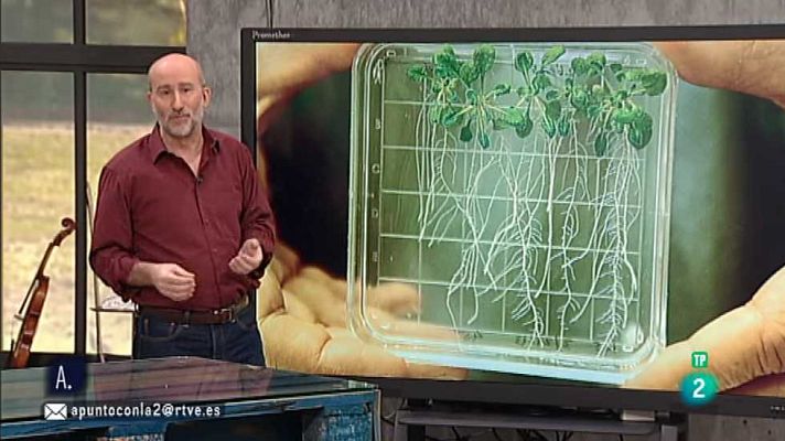 A punto con La 2 - A punto con La 2 - 28/01/16