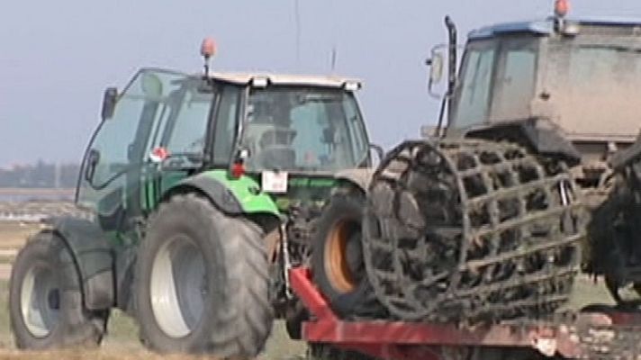 España Directo - El arte del fangueo