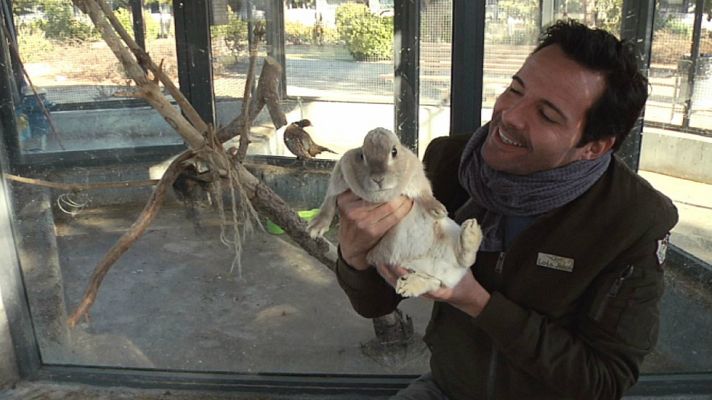 Aquí la Tierra - Animales muy especiales en adopción