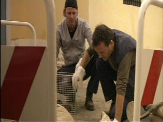 Guante blanco - Toma falsa 9