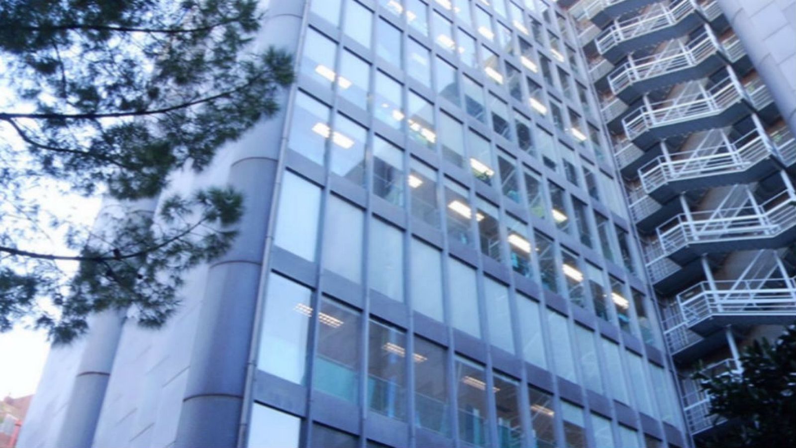 Un edificio descontaminante