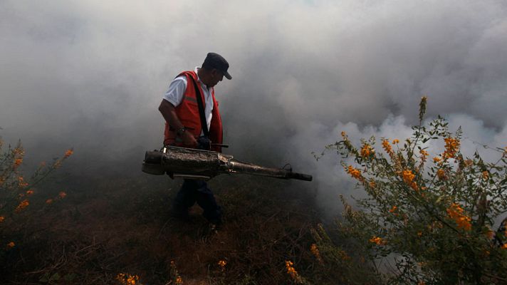 Telediario 1 - La prevención, única arma para luchar contra el Zika