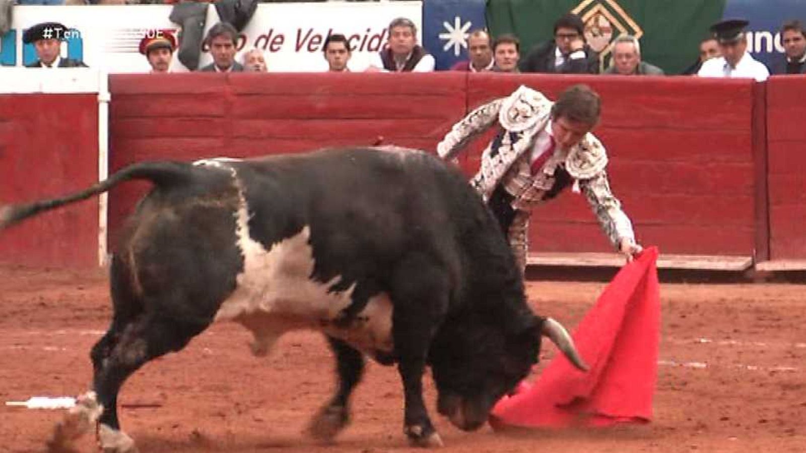 Tendido Cero - 30/01/16 - ver ahora