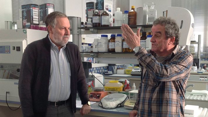 Telediario 1 - Cada año se detectan en España entre 10 y 20 casos de lepra