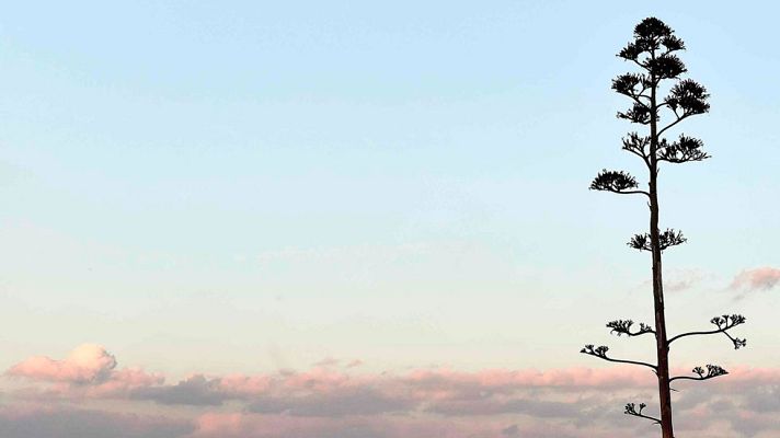 El tiempo - Nieblas persistentes en el interior de la Península