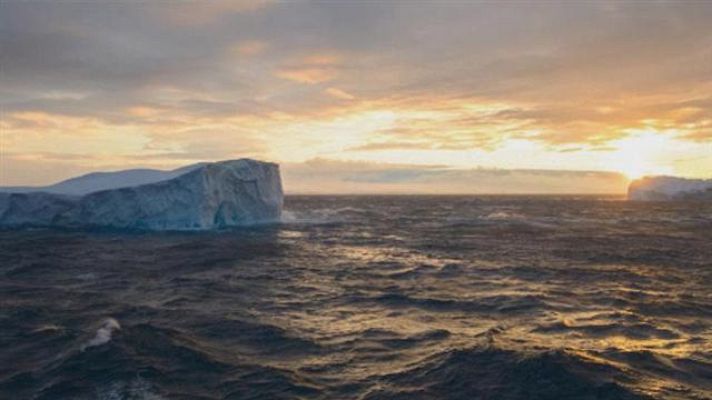 Teleplaneta - Teleplaneta - 01/02/2016