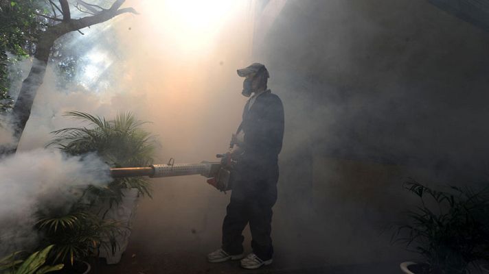 Telediario 1 - La OMS crea una unidad para coordinar todas las acciones contra el zika