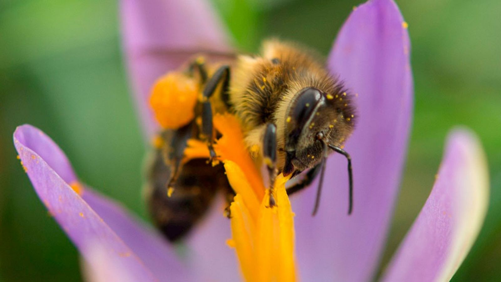 Lluvia de carácter débil en el Norte y poco nuboso en el resto