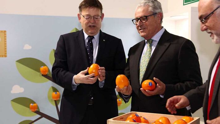 L'informatiu - Comunitat Valenciana - L'Informatiu - Comunitat Valenciana 2 - 03/02/16