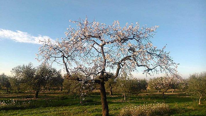 Informativo de Madrid - El Tiempo en la Comunidad de Madrid - 04/02/16