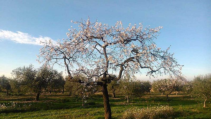 El Tiempo en la Comunidad de Madrid - 04/02/16