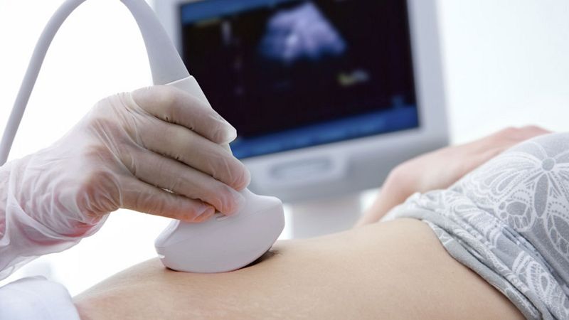 Diagnosticado el primer caso de Zika en una embarazada en España