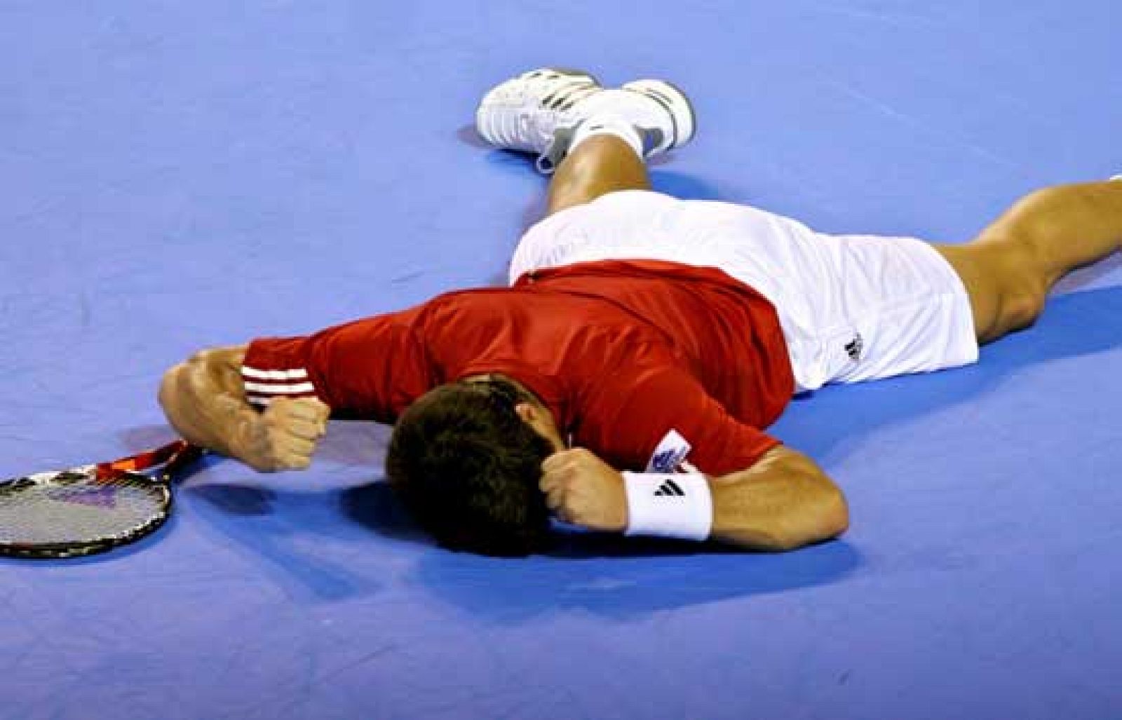 El punto definitivo de la final ante Argentina ha llegado de la mano de Verdasco.