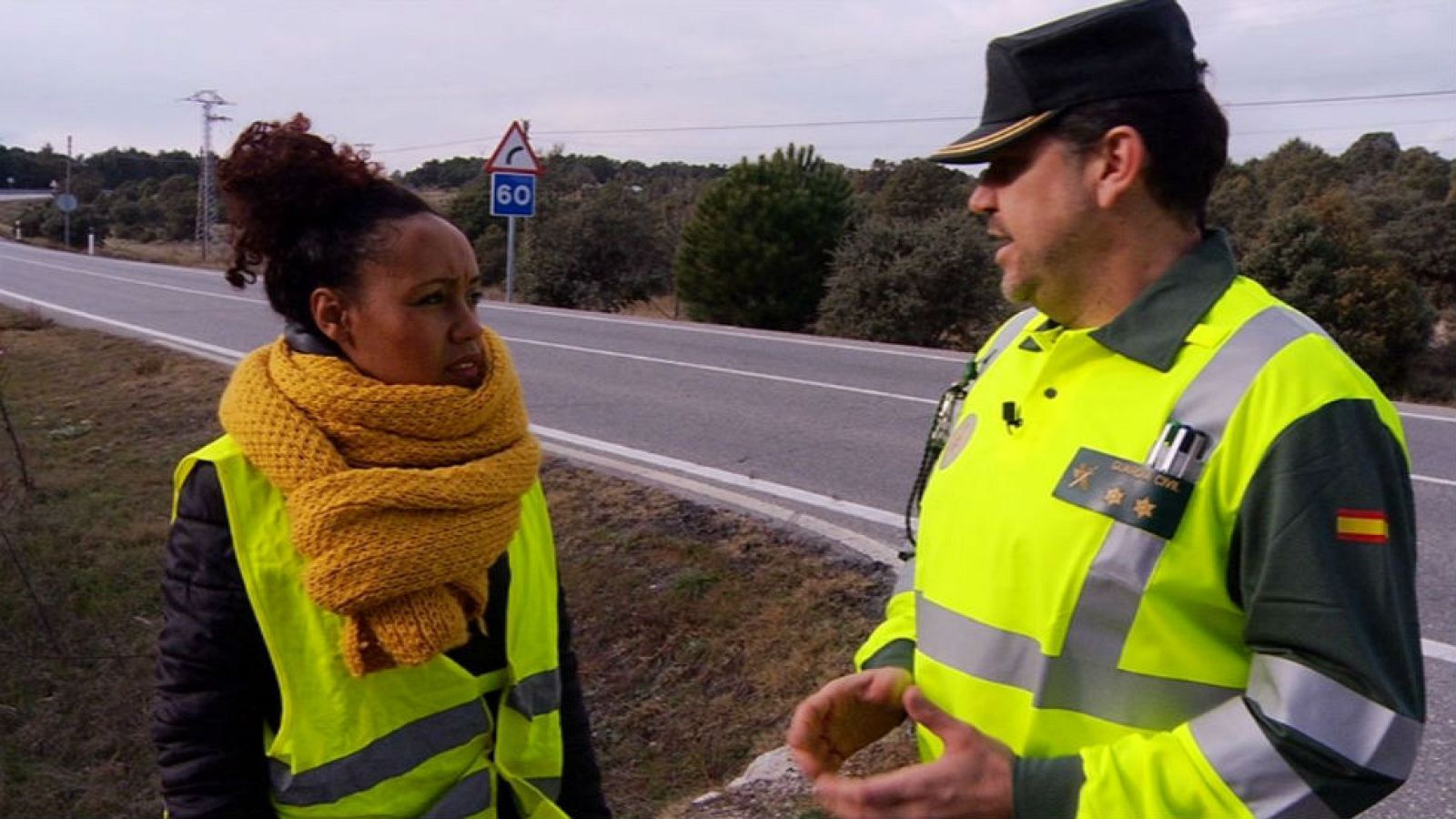 Jabalíes en la ciudad