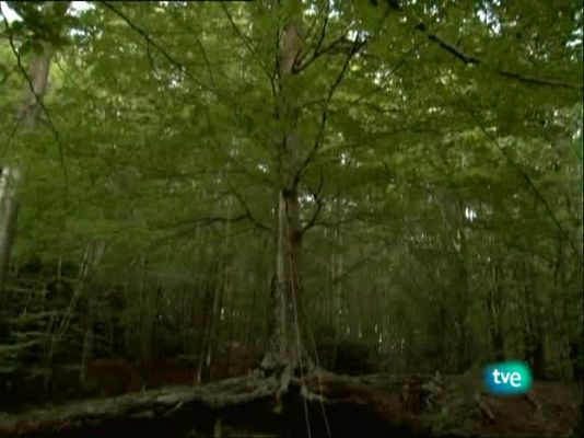 Metrópolis - Experimentaclub 2008