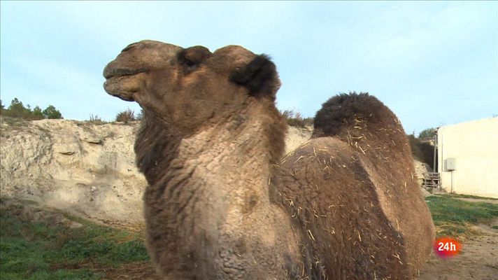 Repor - Los Monegros, el desierto mojado - Avance