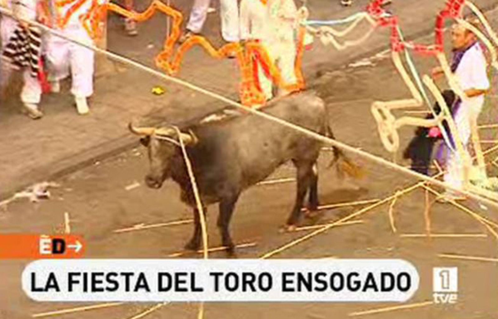 España Directo - La fiesta del toro ensogado | Ver