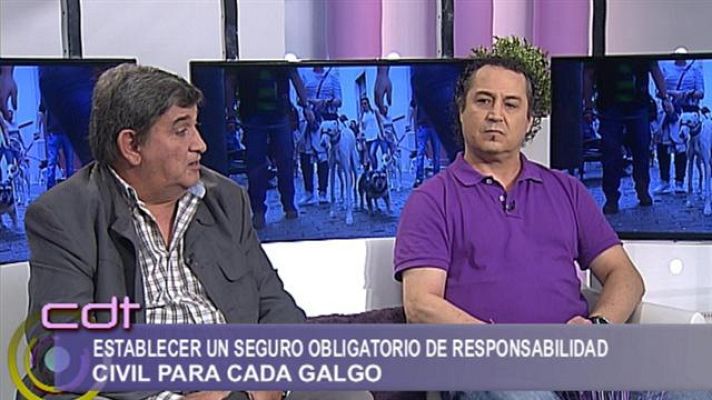 Cerca de ti - Cerca de ti - 08/02/2016