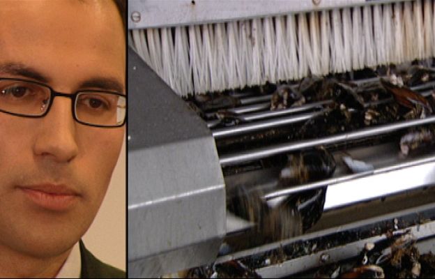 Fábrica de ideas - Opinión expertos: Musselect