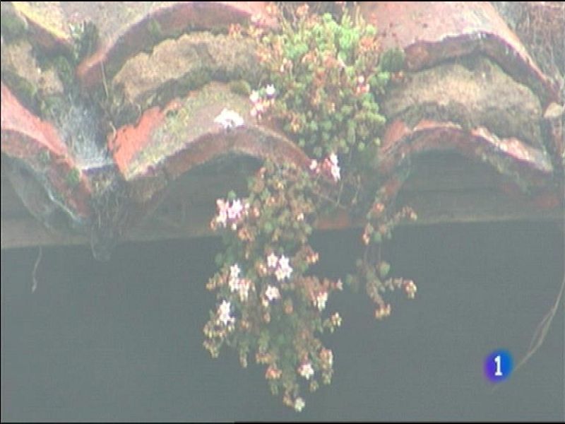 Panorama Regional 2 - 09/02/16 | Ver