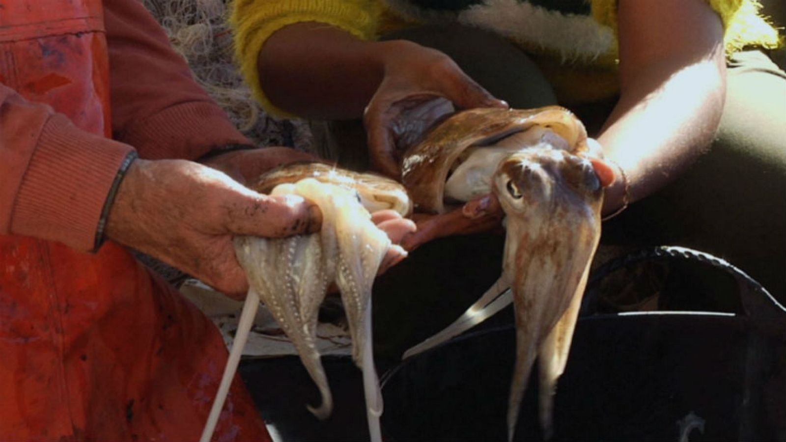 ¡Cuidado que mancha!