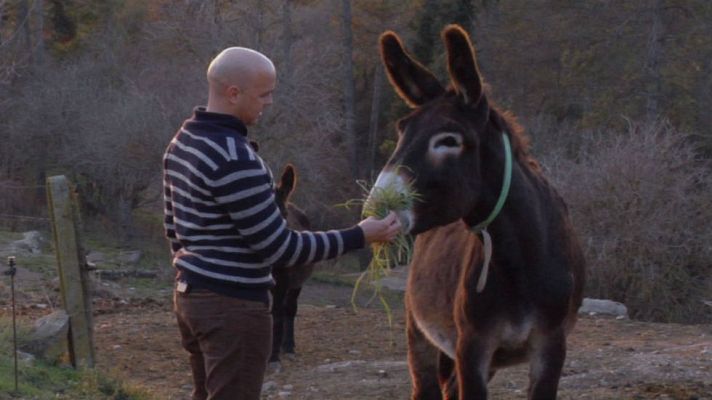Aquí la Tierra - ¡Una gran burrada!
