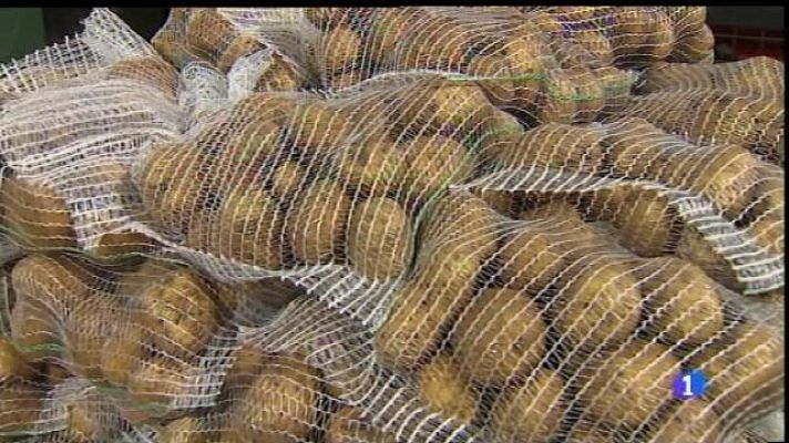 Informatiu Balear - La patata d'enguany de sa Pobla, la més primerenca de la història.