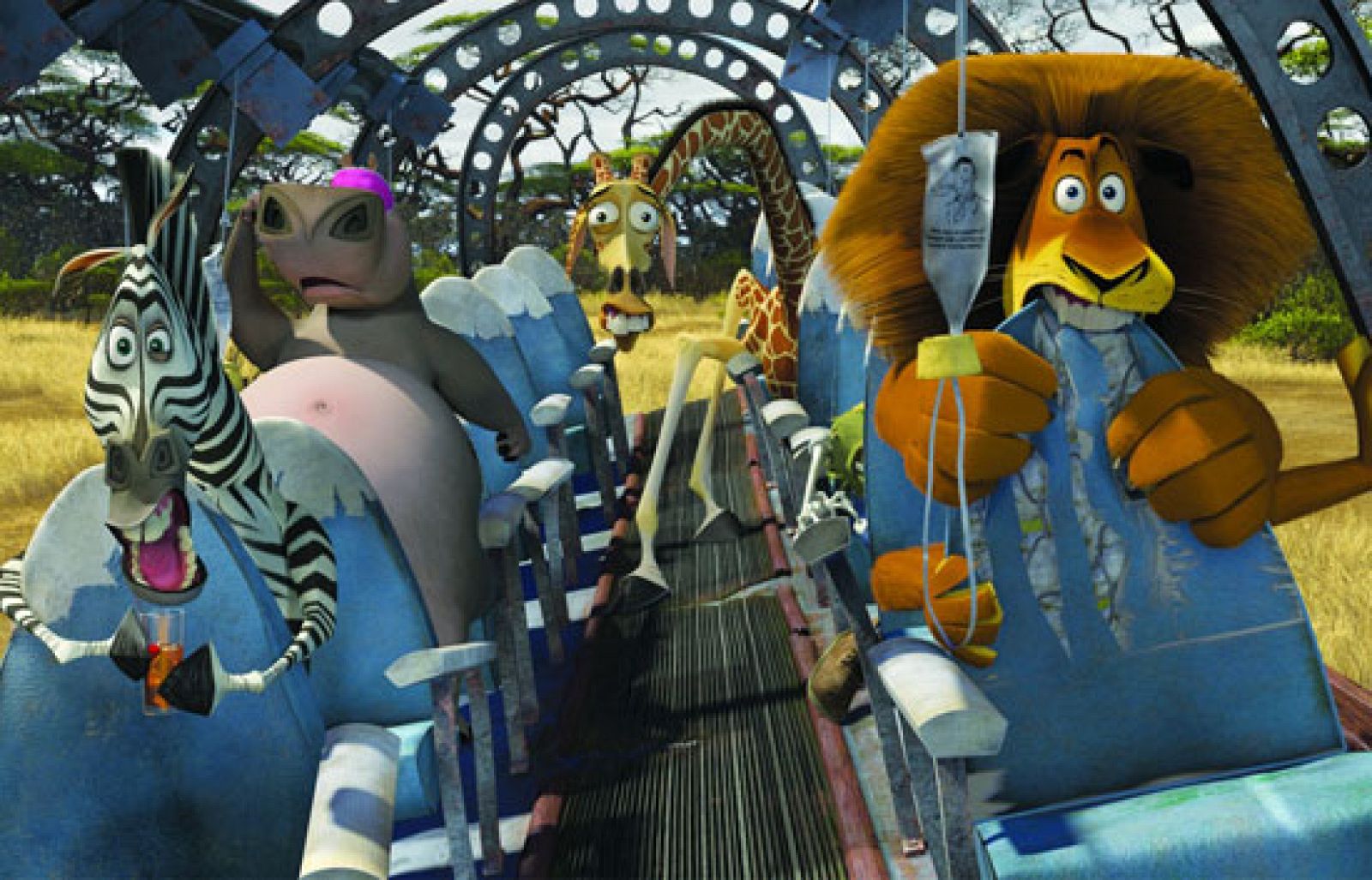 Zoom Net. Madagascar 2