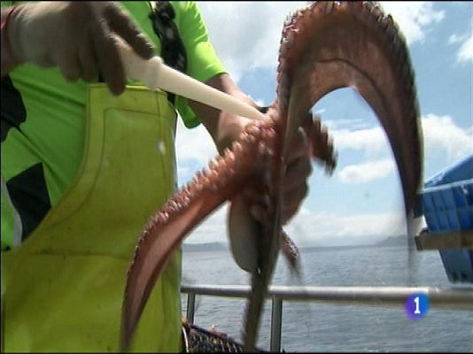 Panorama Regional - Panorama Regional 2 - 12/02/16