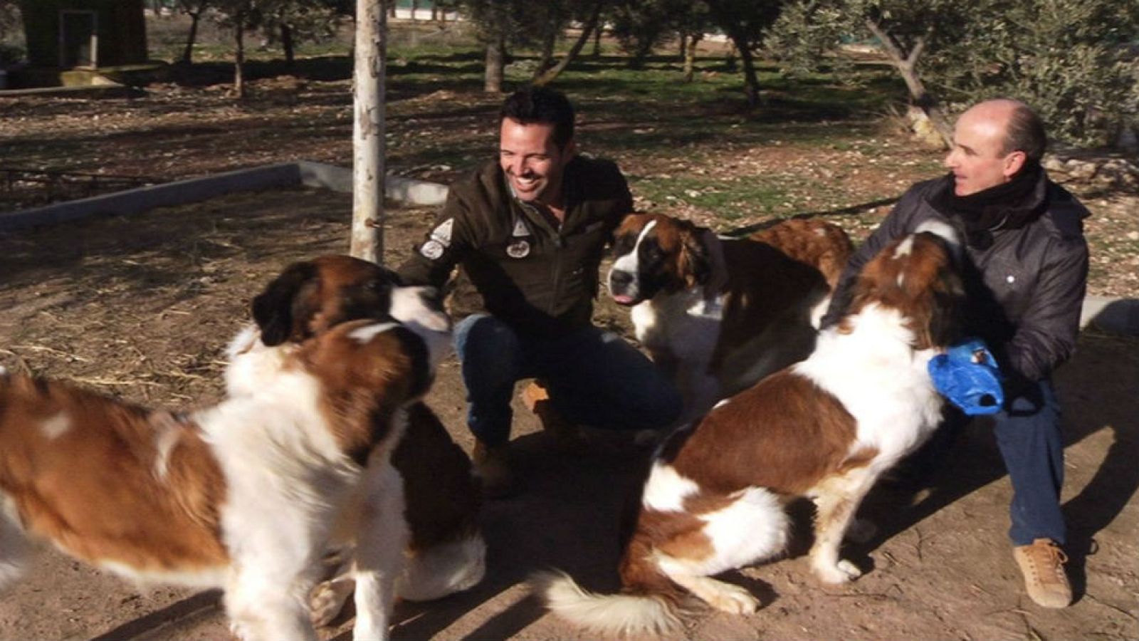 Nos encontramos con el perro de Heidi