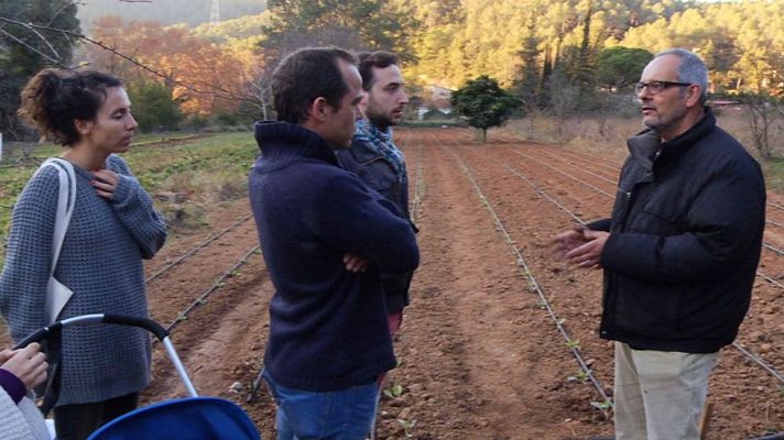 Aquí la Tierra - Comprar tu propia verdura