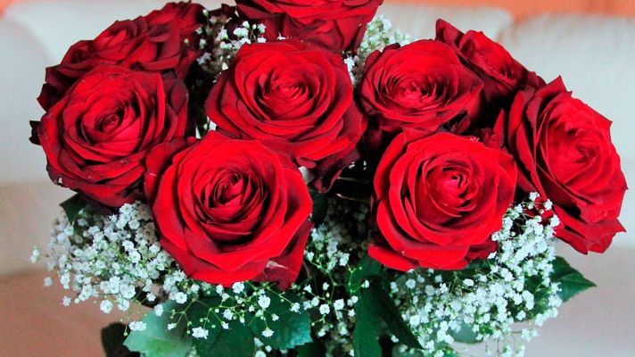 Telediario 1 - Colombia exporta a Europa y EEUU unos 500 millones de flores