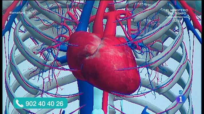 La mañana - Circulación venosa, trombos y embolia