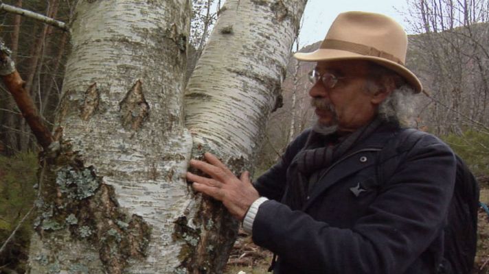 Aquí la Tierra - Juan Plantas y el árbol de la luna