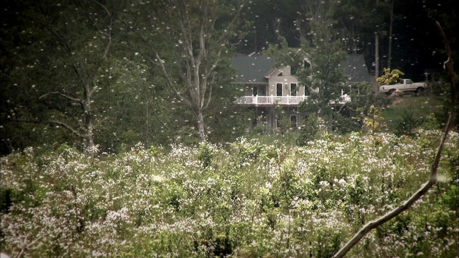 Documentos TV - Alergias, la carga tóxica - Avance