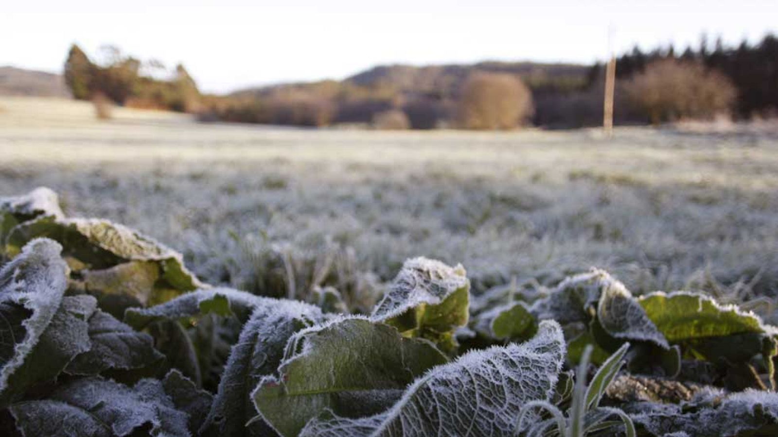 El Tiempo en la Comunidad de Madrid - 16/02/16