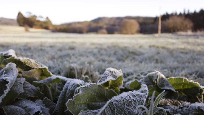 Informativo de Madrid - El Tiempo en la Comunidad de Madrid - 16/02/16