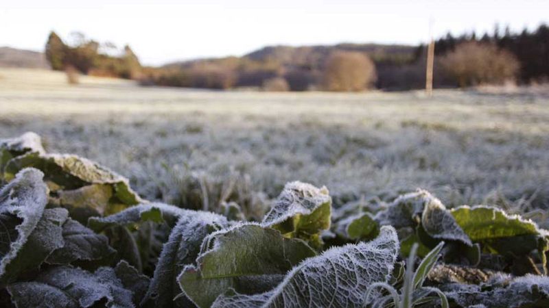 El Tiempo en la Comunidad de Madrid - 16/02/16