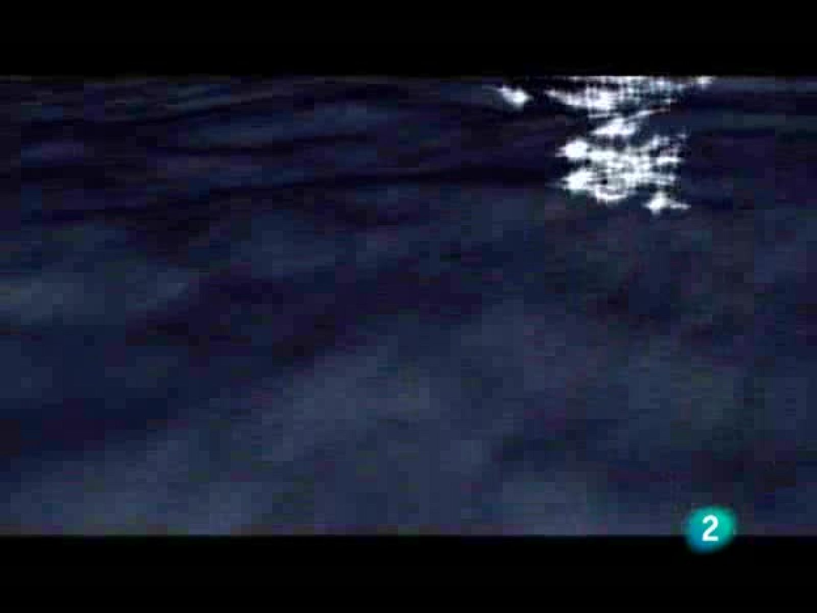 Acción directa - 25/11/08 - Acción directa | Ver