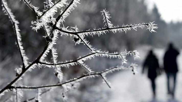 Informativo de Madrid - El Tiempo en la Comunidad de Madrid  - 17/02/16