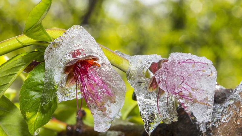 El Tiempo en la Comunidad de Madrid - 18/02/16
