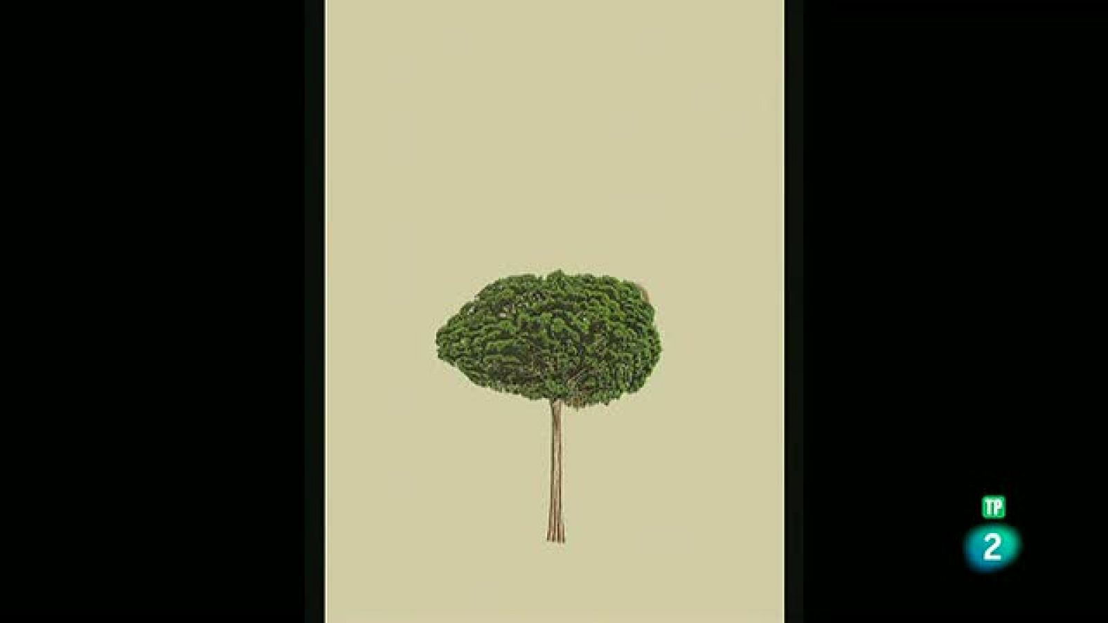 La Aventura del Saber. Serie Boek Visual.  Pablo Caracol