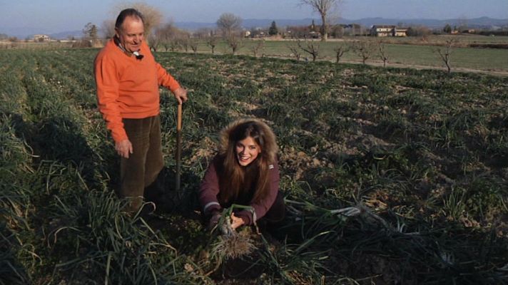 Aquí la Tierra - Calçots: de la huerta a la brasa