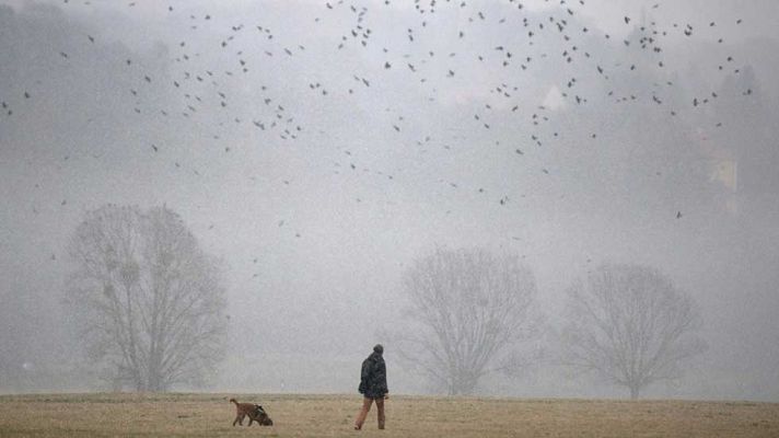 El tiempo - Lluvia y viento fuertes en Canarias y Estrecho y heladas en el interior