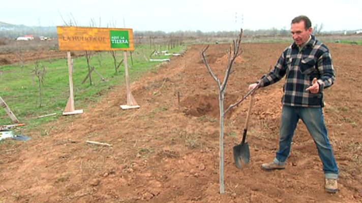 Aquí la Tierra - Plantamos frutales