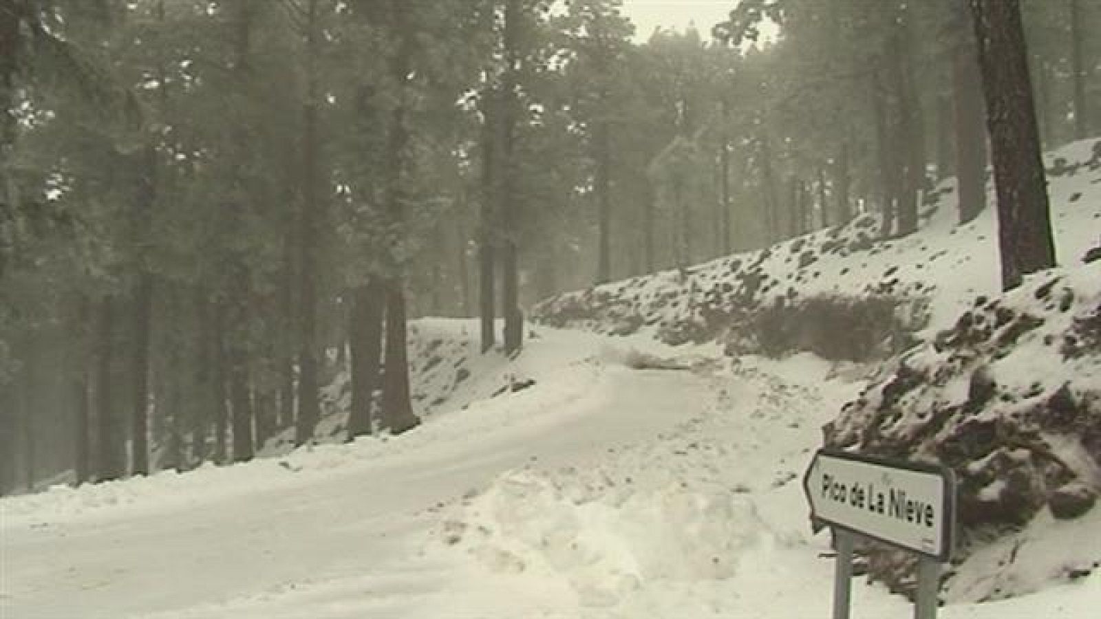 Telecanarias - 19/02/2016