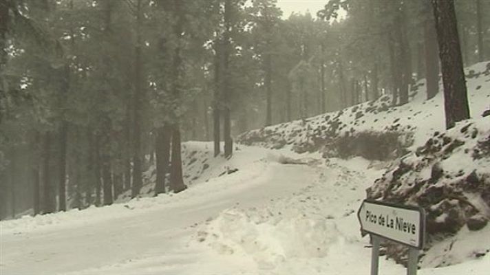 Telecanarias - Telecanarias - 19/02/2016